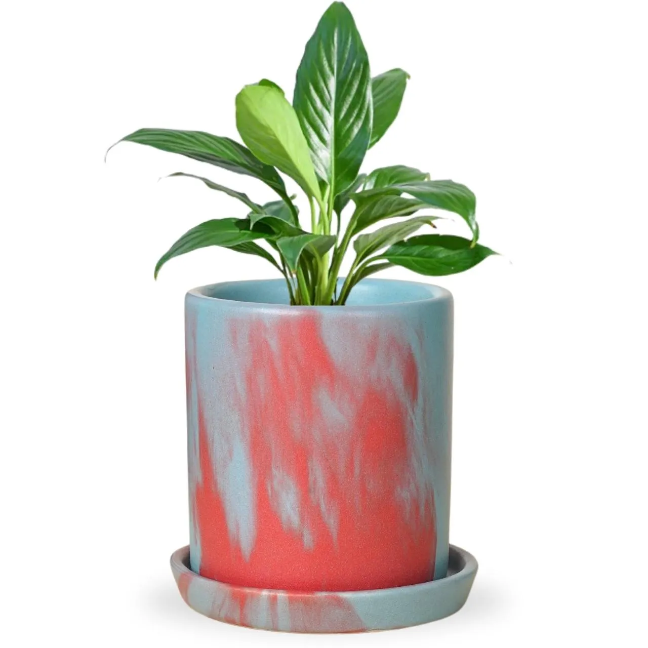 Ceramic Plant Pot