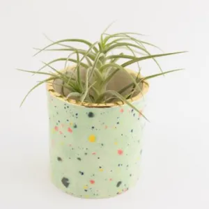 Confetti Mini Planter by Quiet Clementine