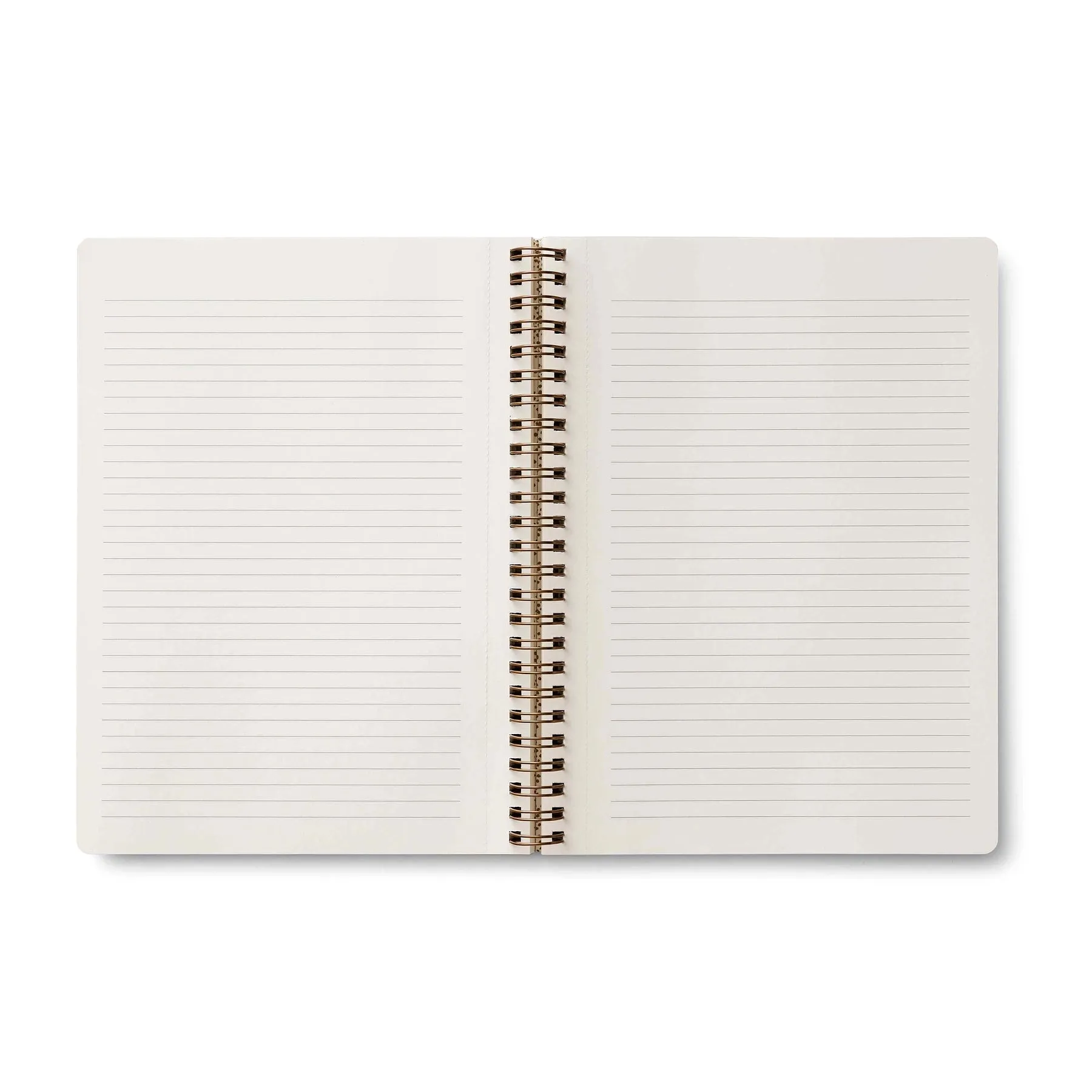 Curio Spiral Notebook