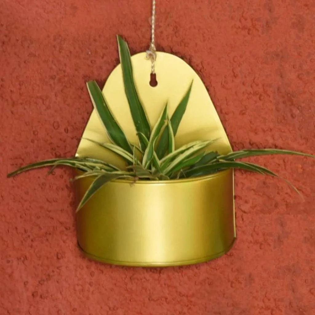 Curved Hanging Metal Mounted Wall Planter / Letter Box in Matte Gold Finish