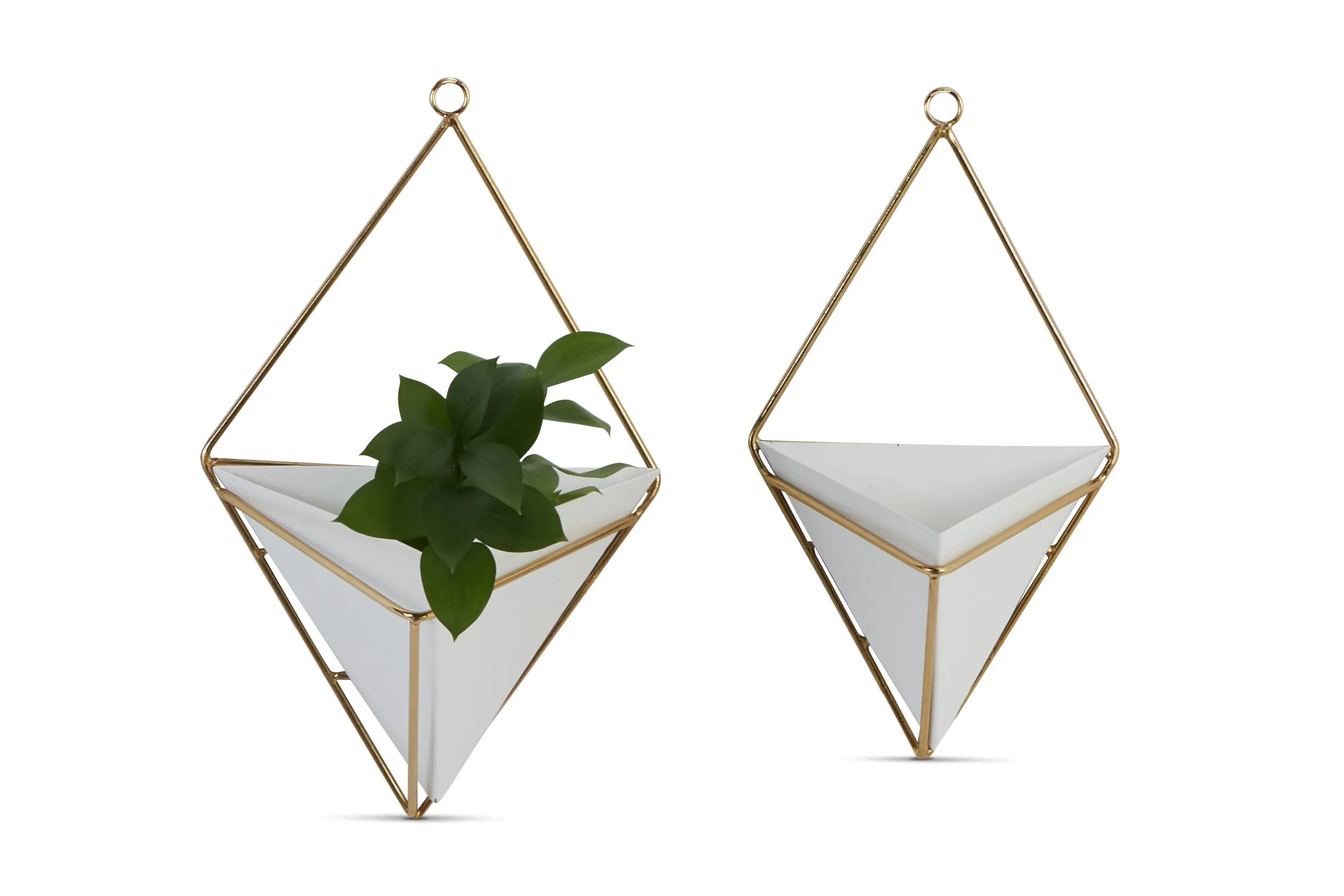 Emily Hanging Planter Set