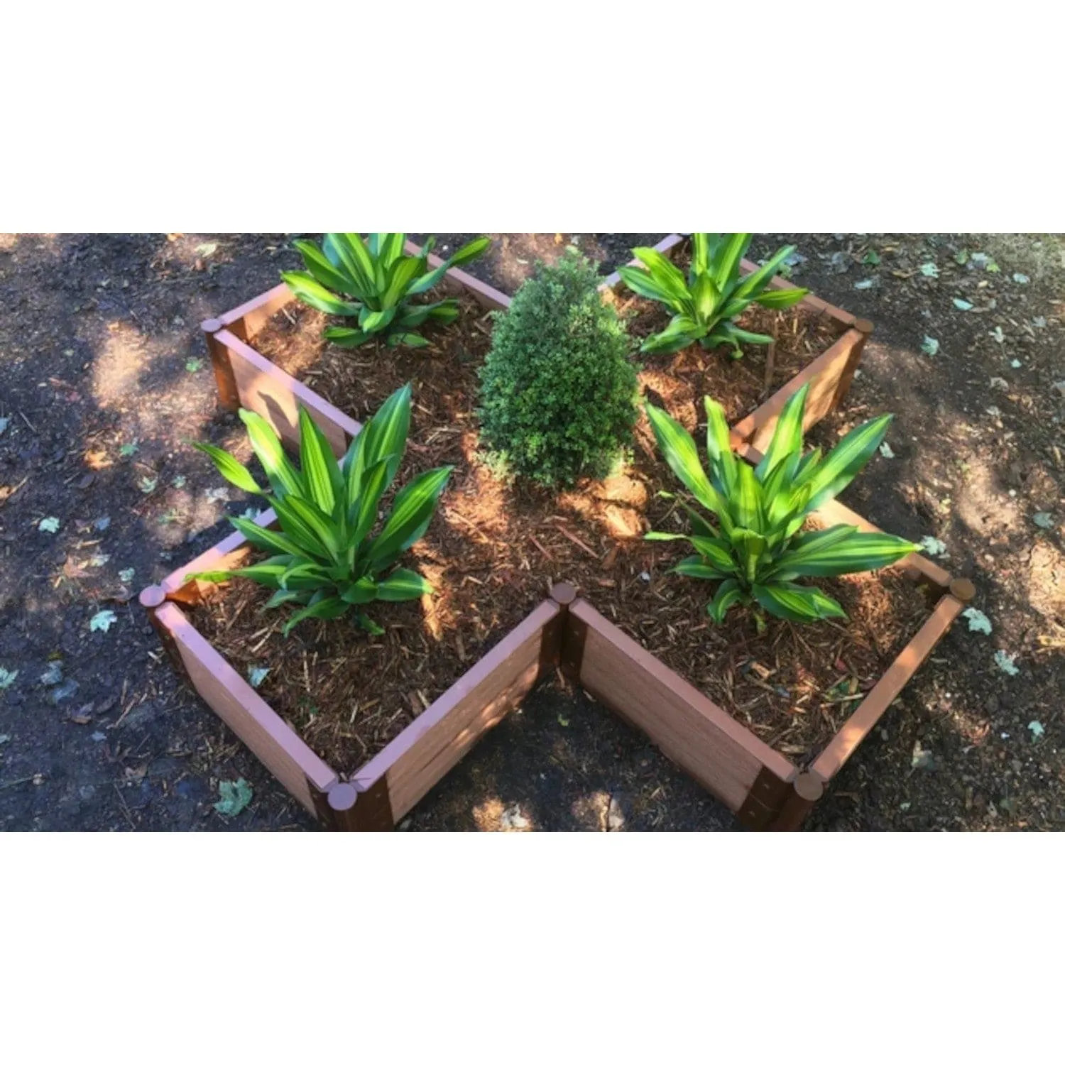 Frame It All | Tool-Free Military Medallion Raised Garden Bed (Kit Cross) 6' X 6' X 11" - Uptown Brown - 1" Profile