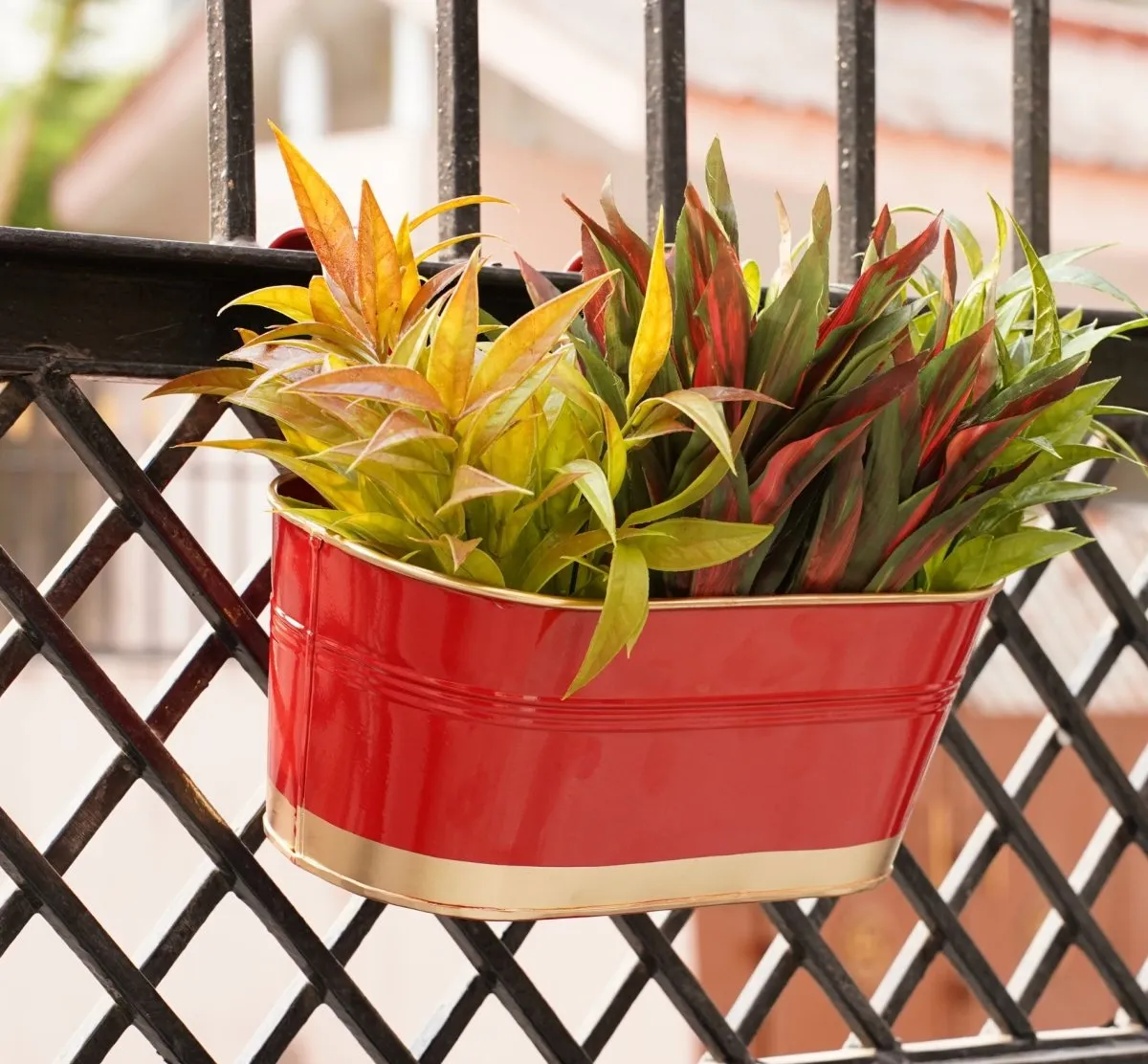 Hanging Pots For Plants Balcony Railing (Red - Pack6)