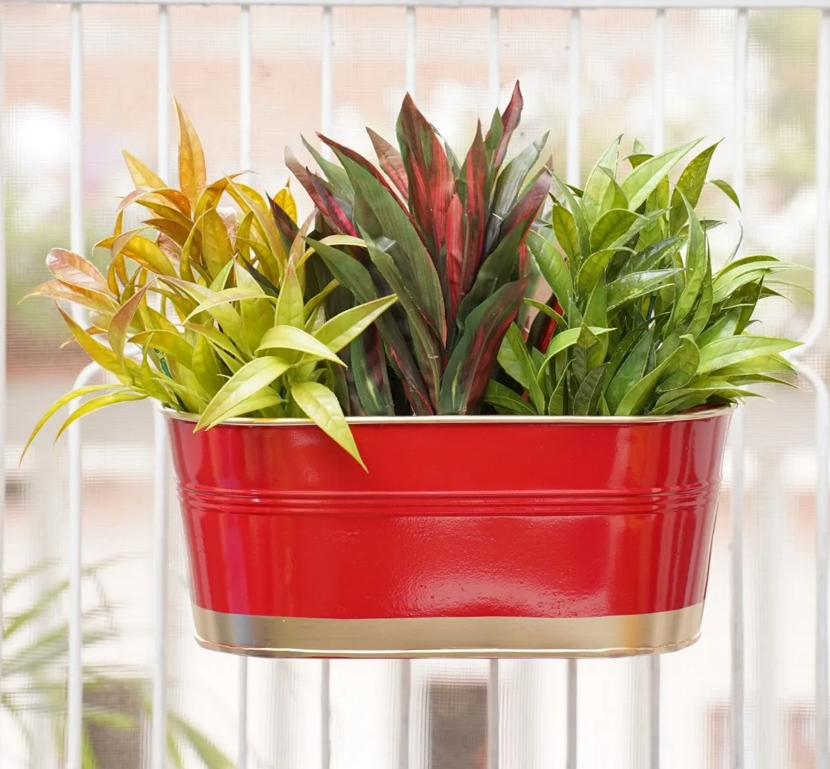 Hanging Pots For Plants Balcony Railing (Red - Pack6)