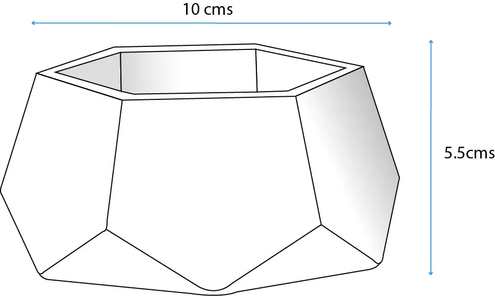 Hexagonal Planter