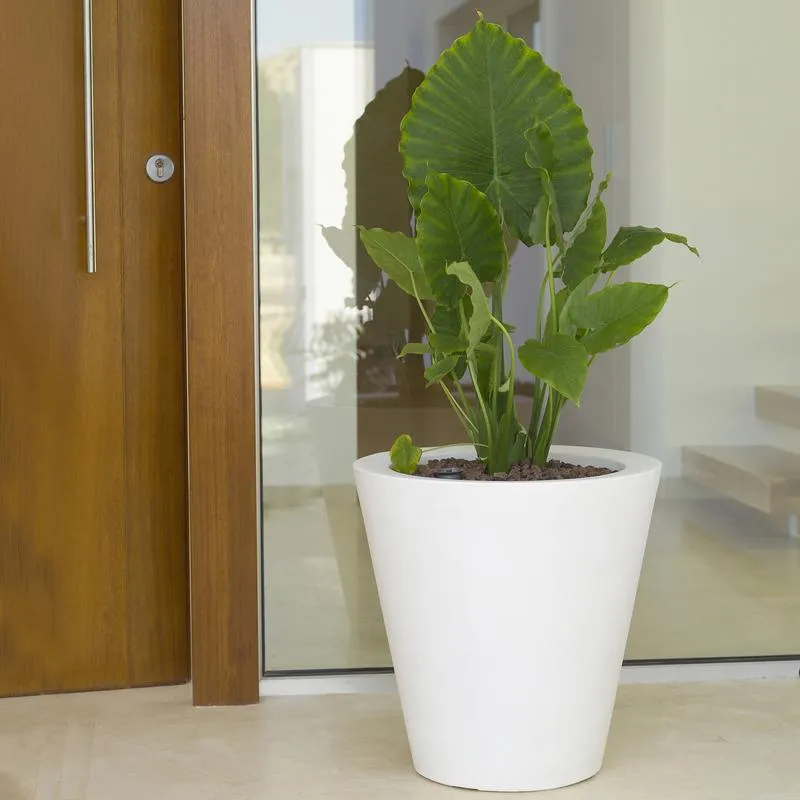 High Cone Planter