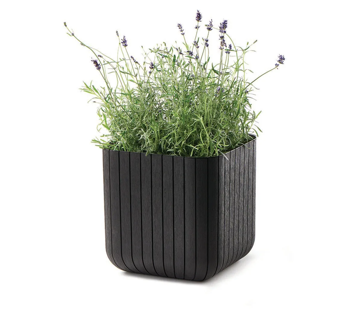 Keter Cube Planter - Brown - 3 Pack