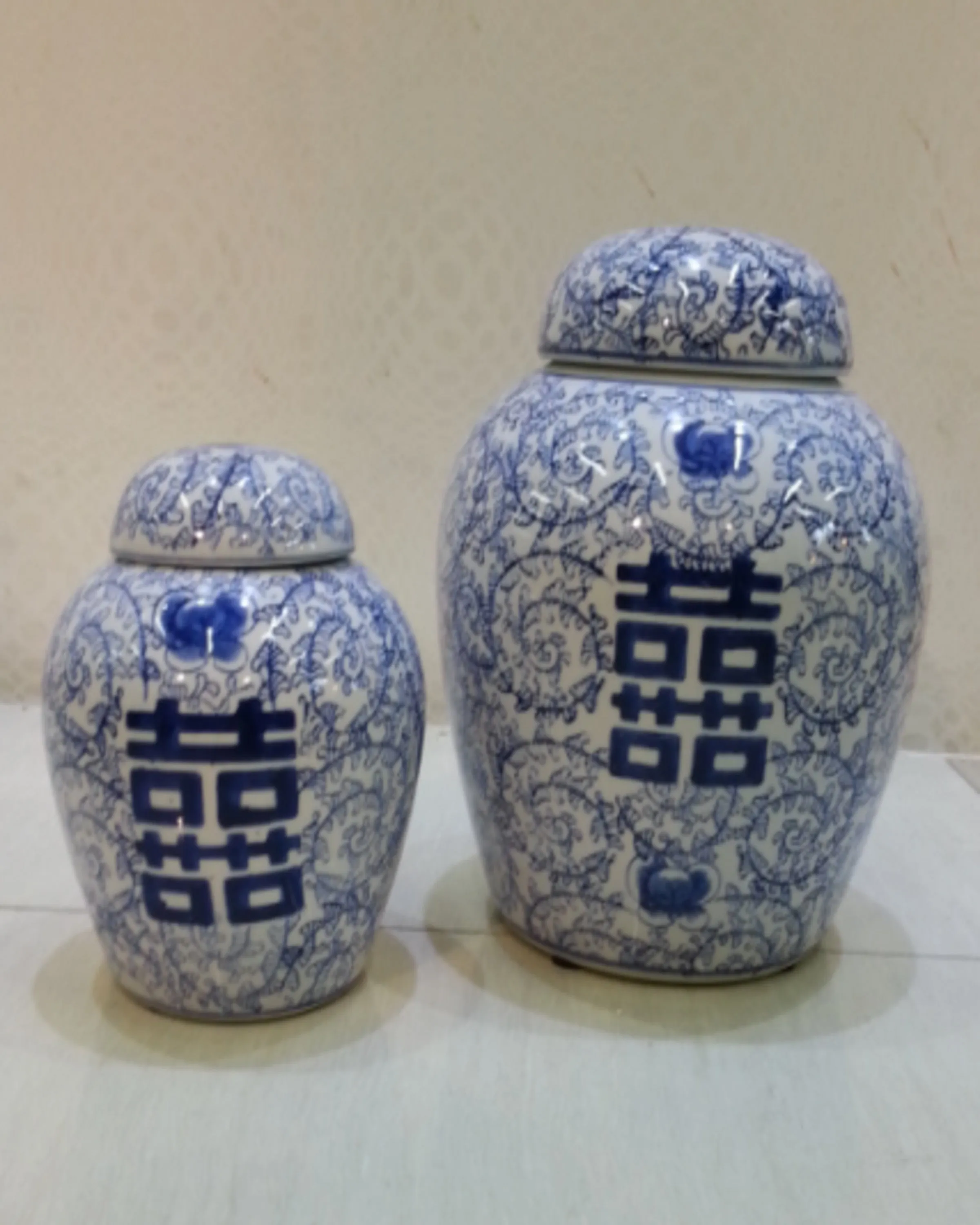 Loki Blue and White Vases Set of 2 - Angie Homes