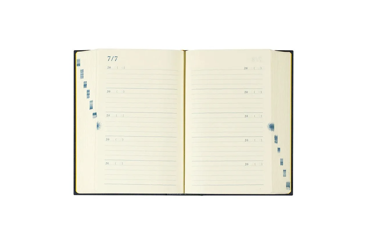 Midori  10 Year Diary Blue