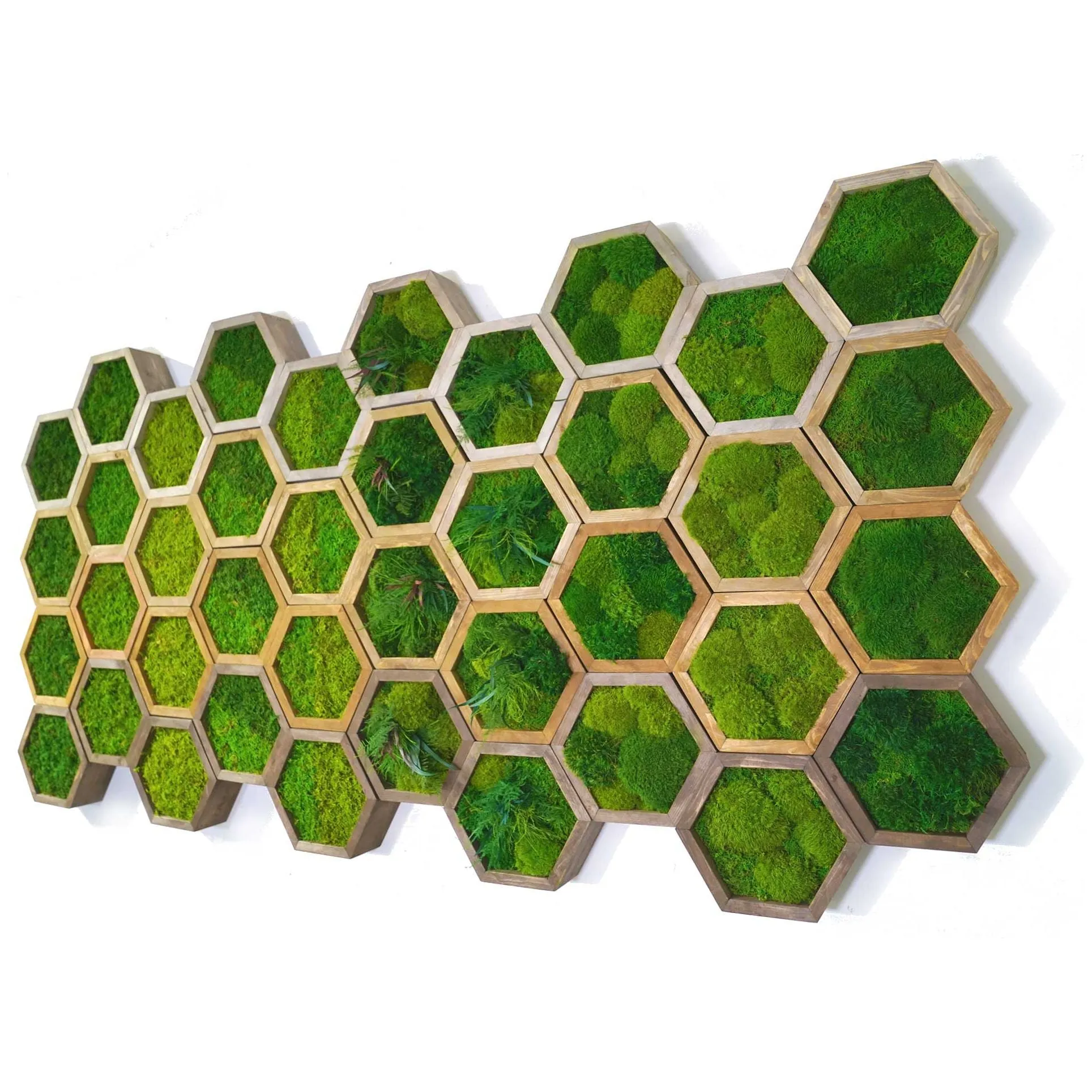 Modular Hexagons (single hex) 40 options to design your own wall