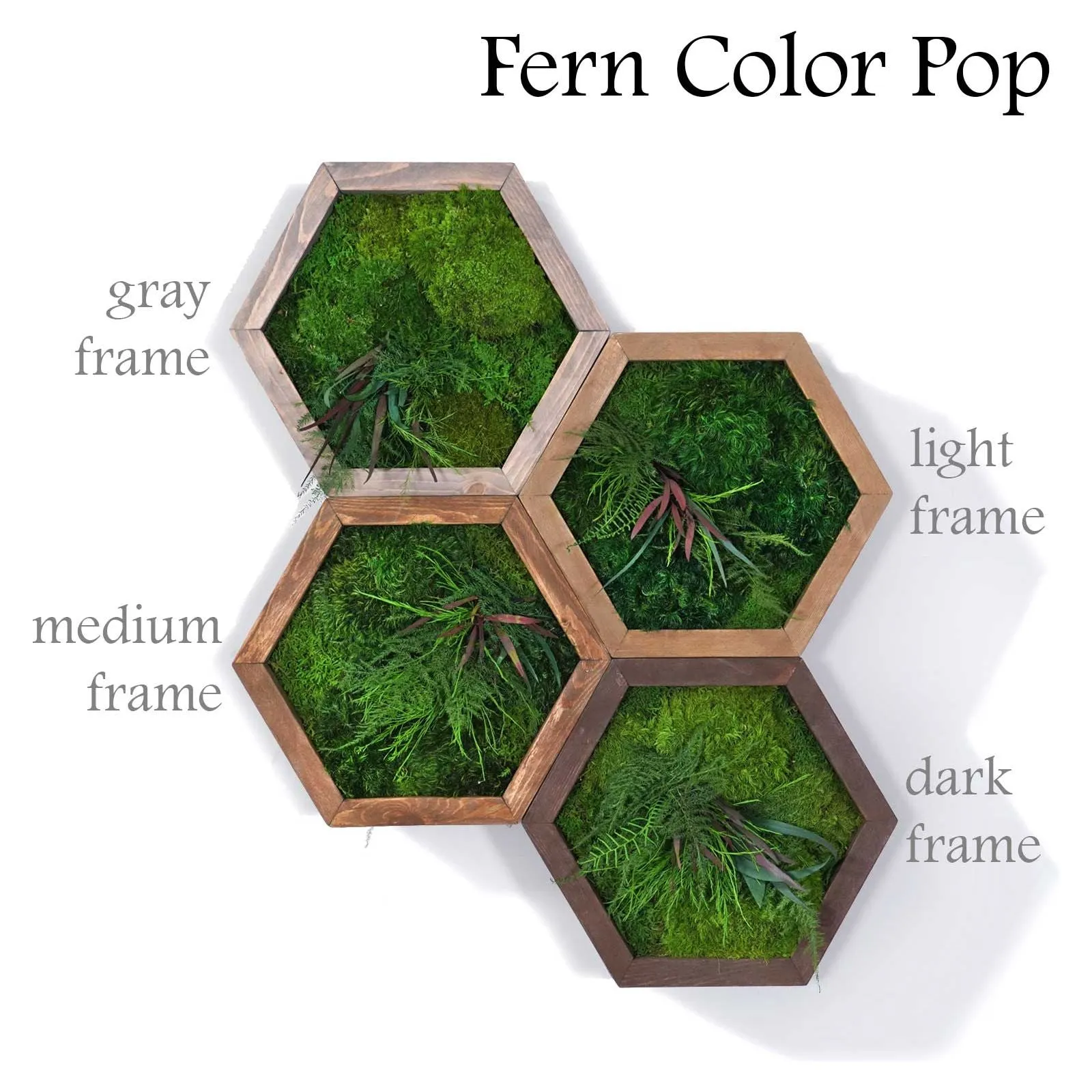 Modular Hexagons (single hex) 40 options to design your own wall