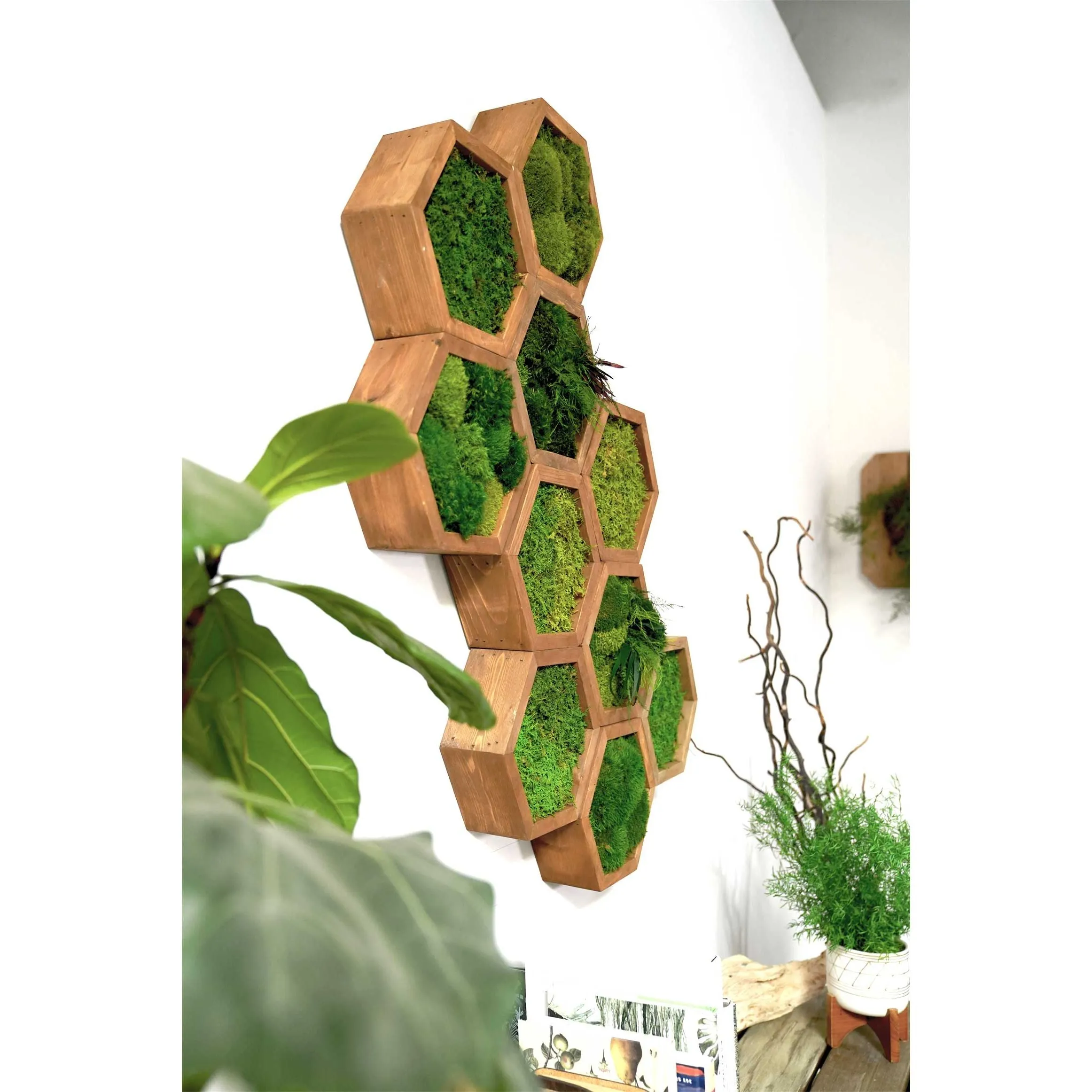 Modular Hexagons (single hex) 40 options to design your own wall