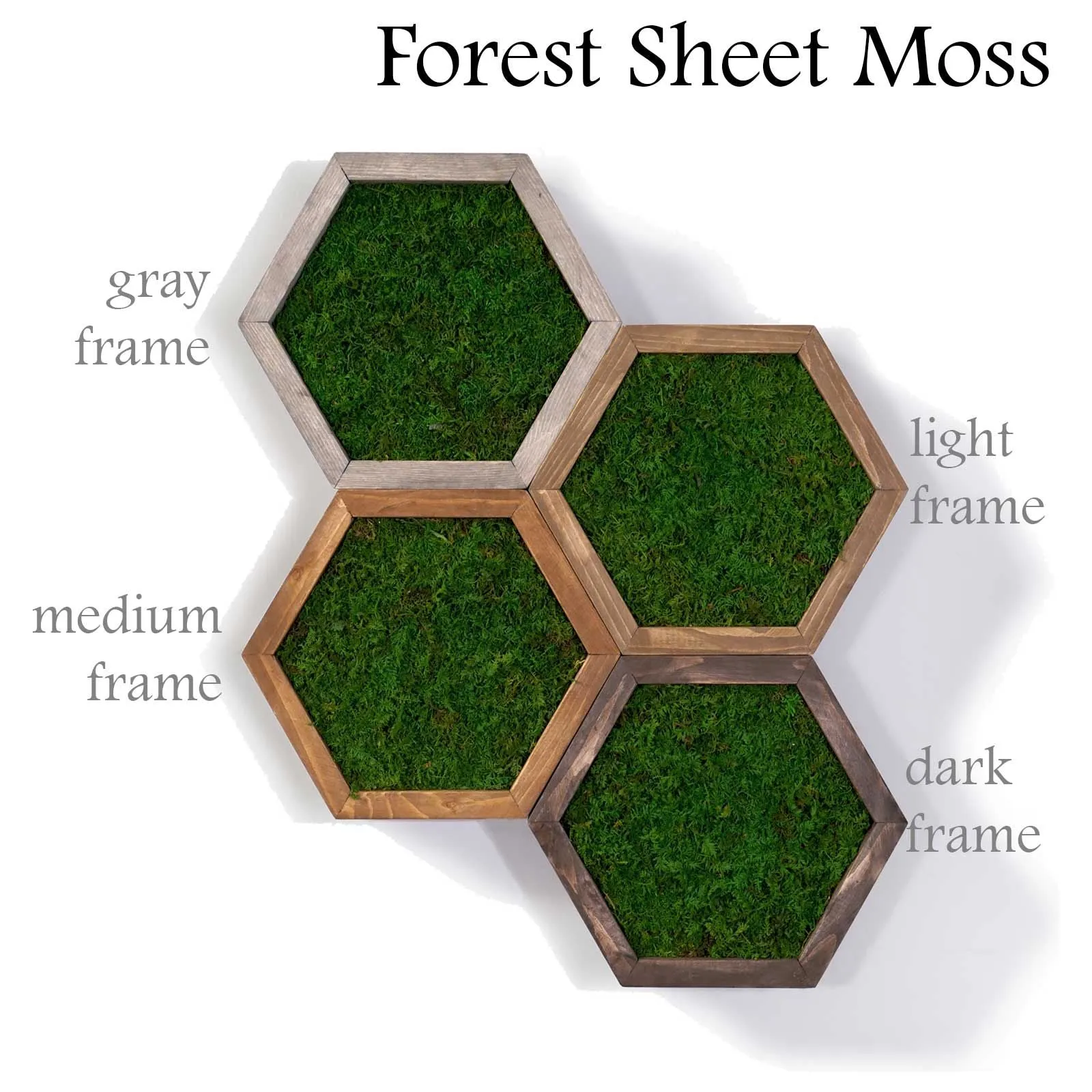 Modular Hexagons (single hex) 40 options to design your own wall