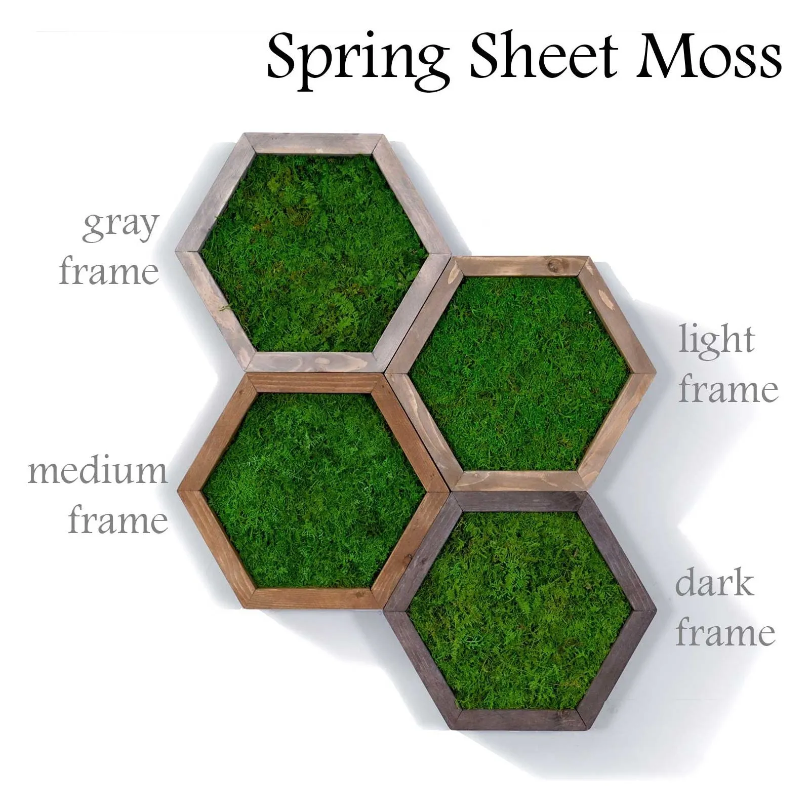 Modular Hexagons (single hex) 40 options to design your own wall