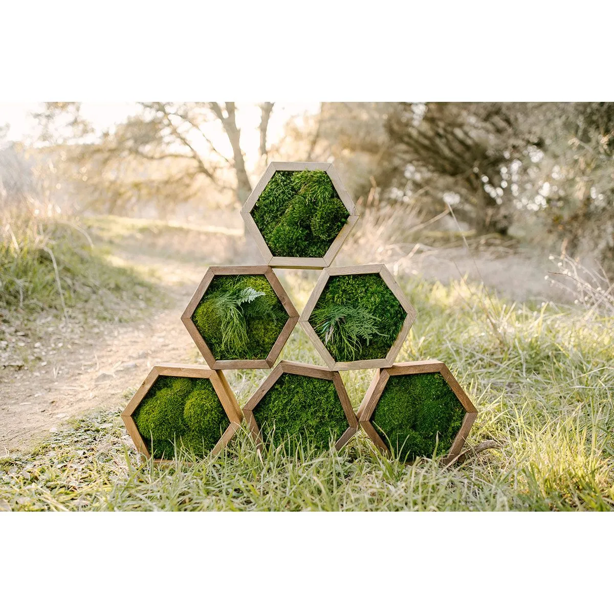 Modular Hexagons (single hex) 40 options to design your own wall