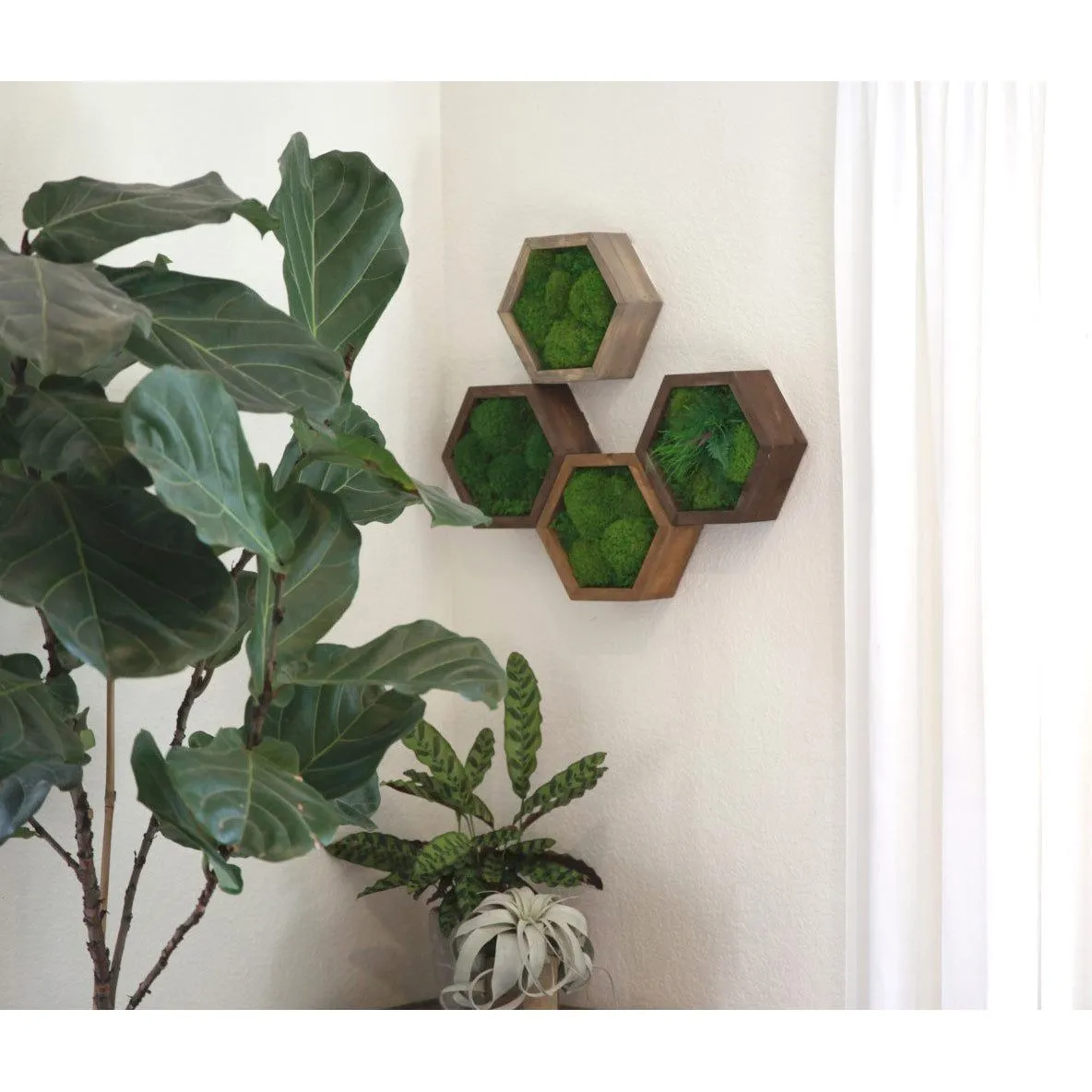 Modular Hexagons (single hex) 40 options to design your own wall