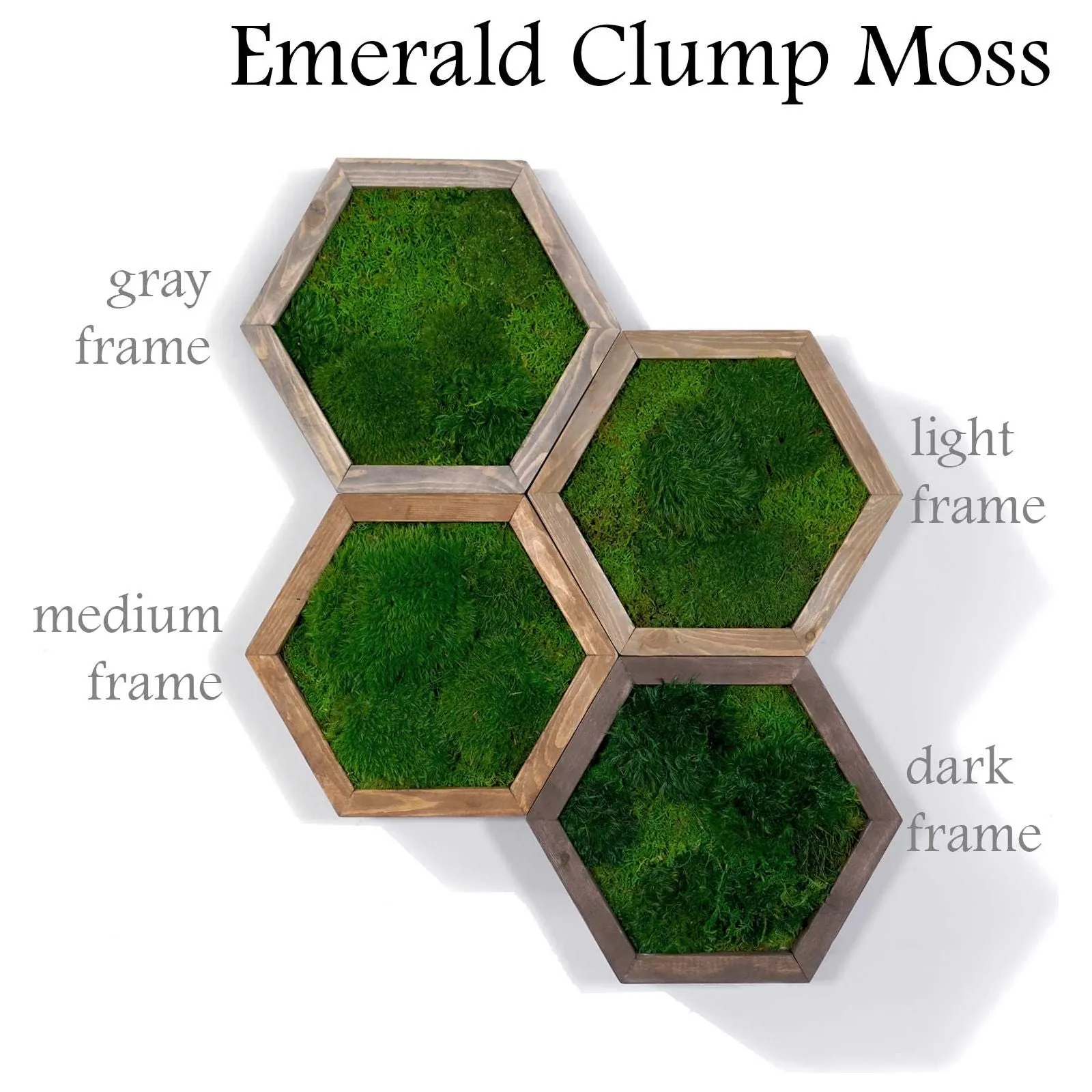 Modular Hexagons (single hex) 40 options to design your own wall