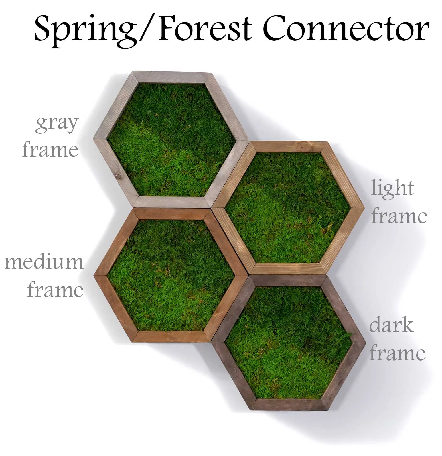 Modular Hexagons (single hex) 40 options to design your own wall