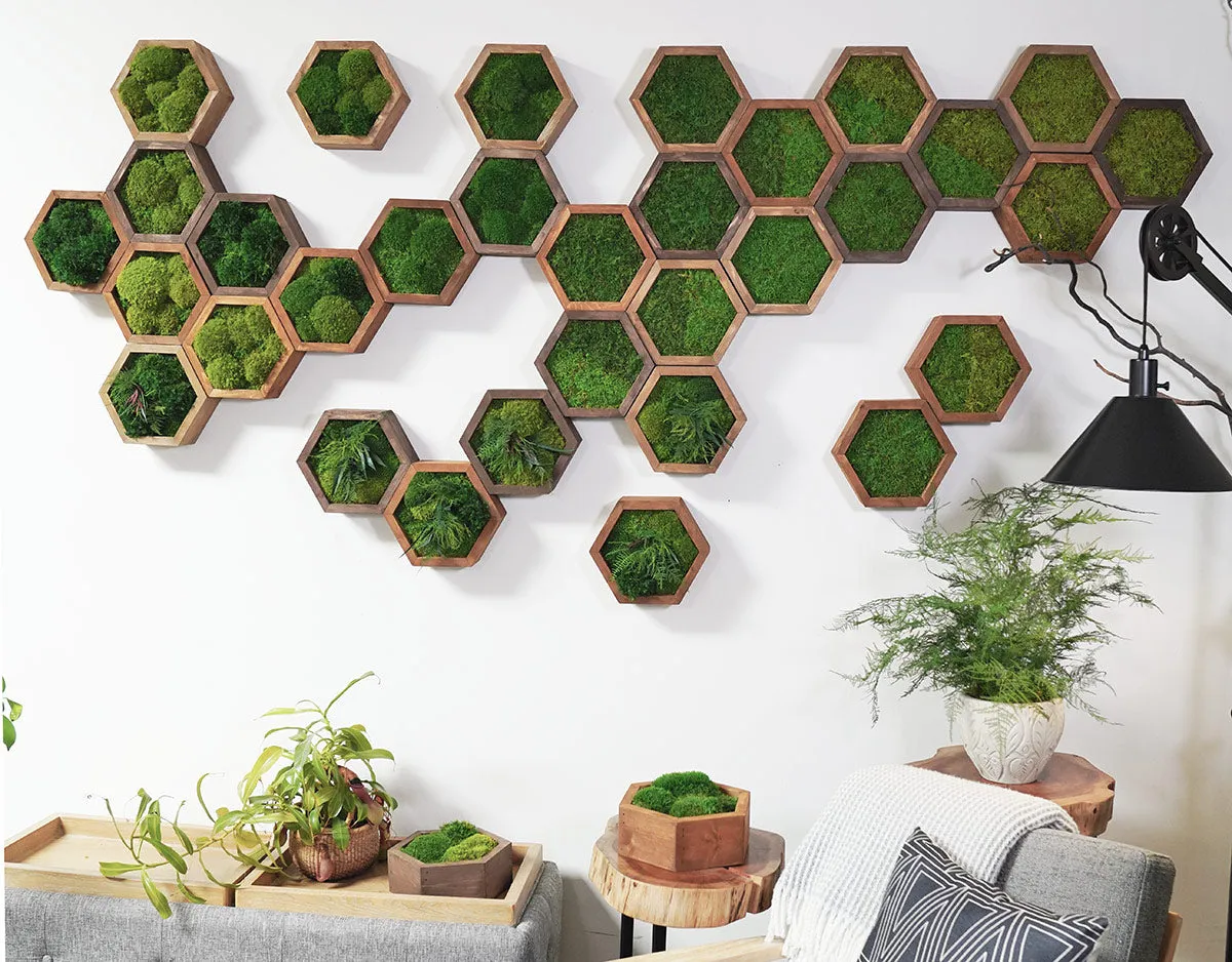 Modular Hexagons (single hex) 40 options to design your own wall