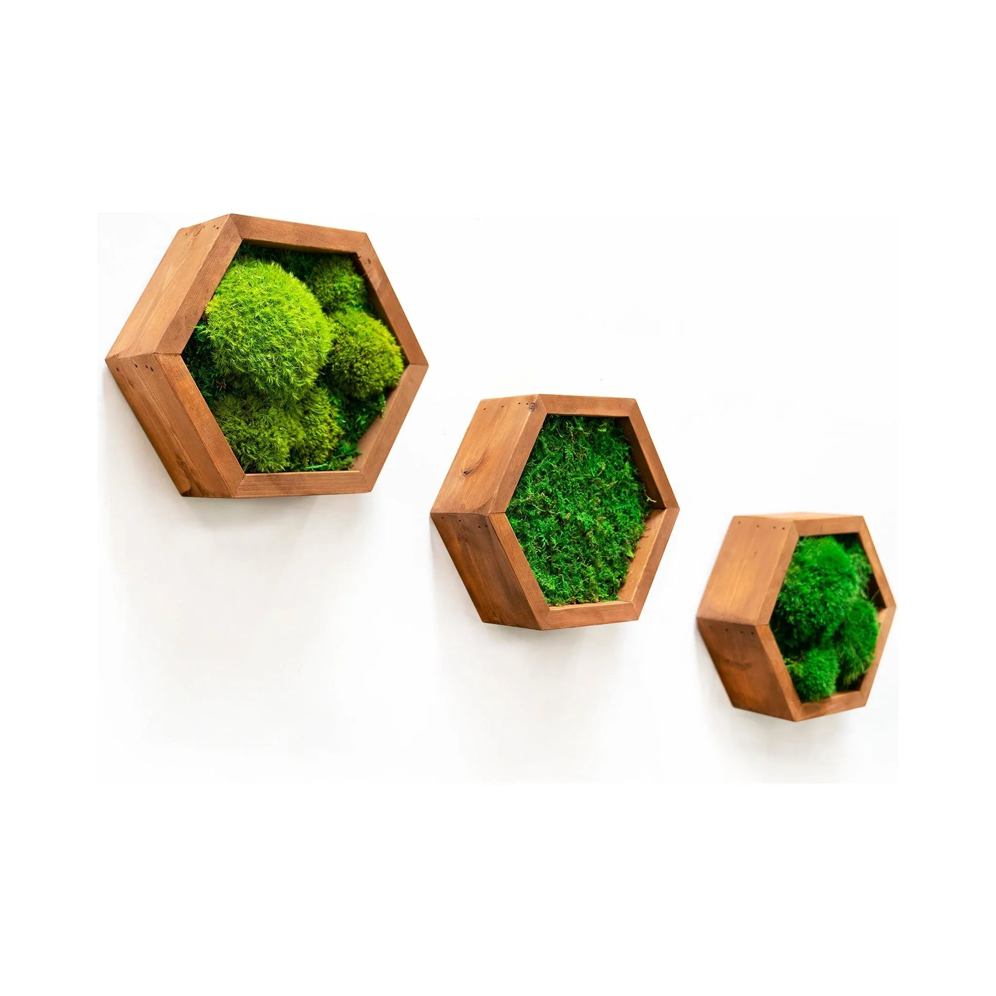 Modular Hexagons (single hex) 40 options to design your own wall