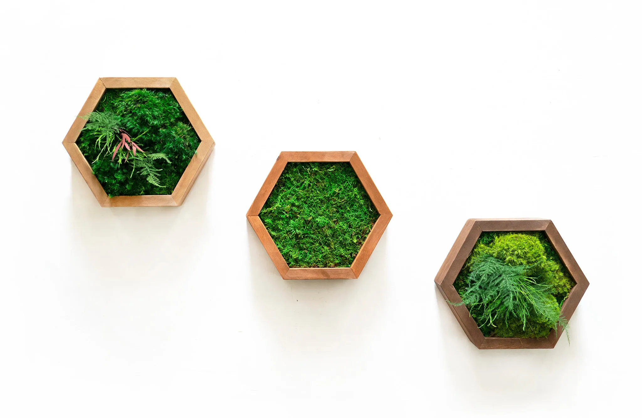 Modular Hexagons (single hex) 40 options to design your own wall