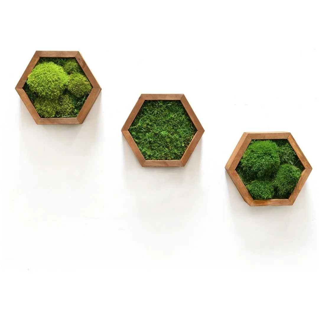 Modular Hexagons (single hex) 40 options to design your own wall