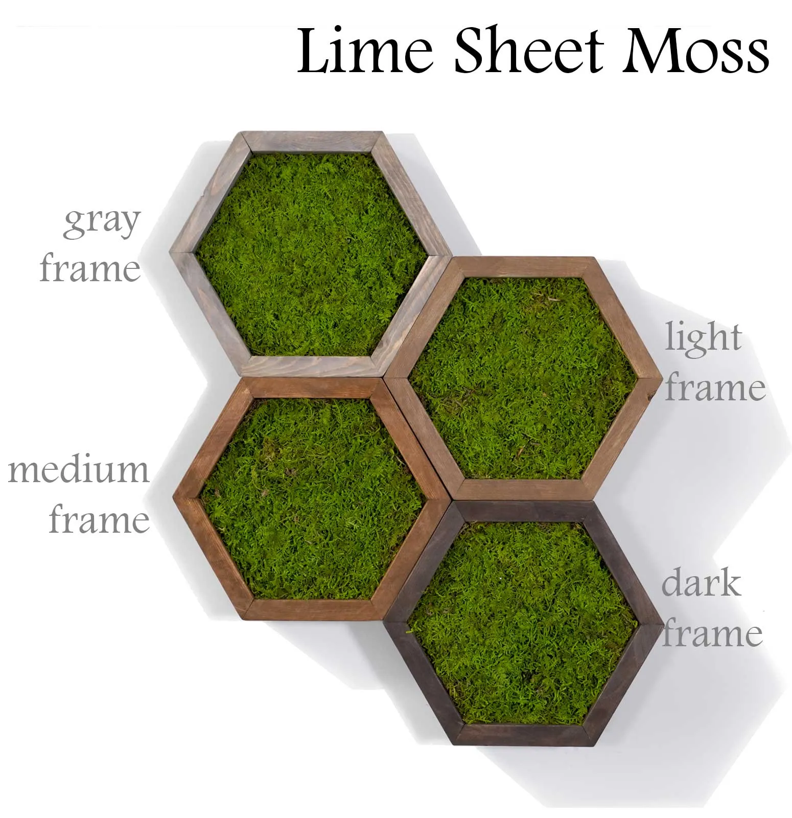 Modular Hexagons (single hex) 40 options to design your own wall