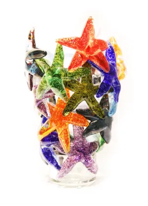 Multicolor IV Starfish Cluster Vase