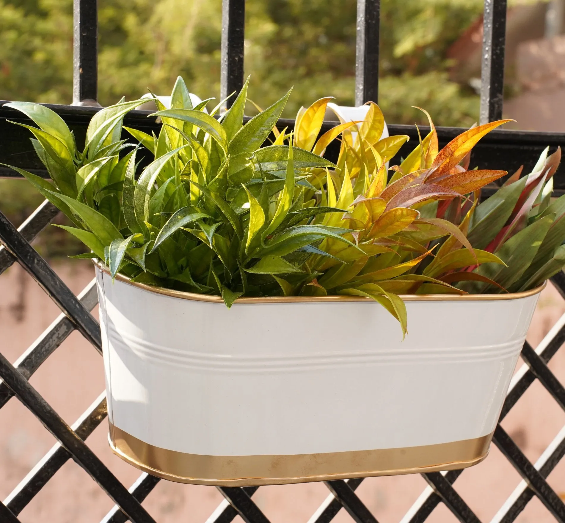 Railing Planters for Balcony(Oval White Pack 4)