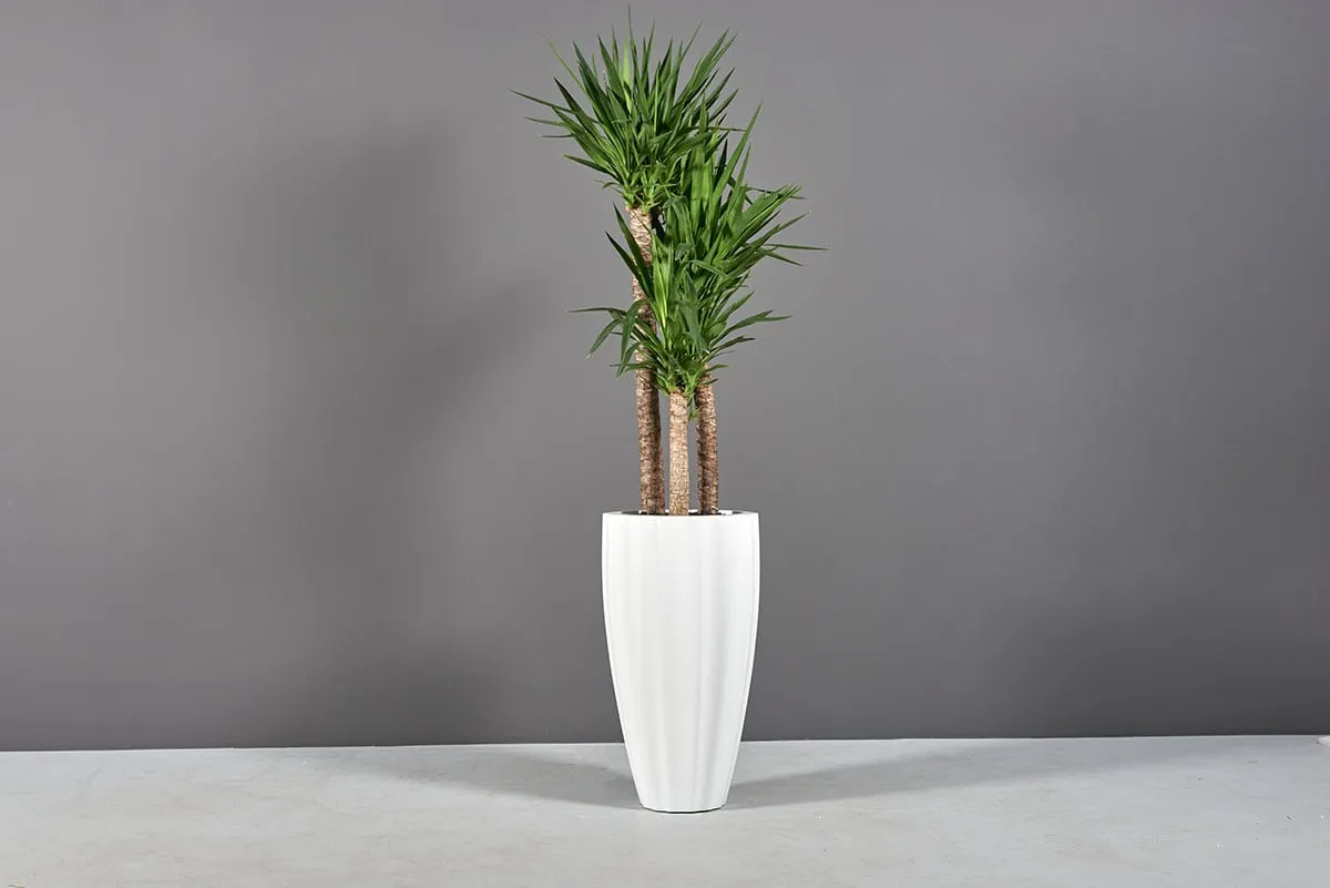 San Jose Tall Fluted Round Planter