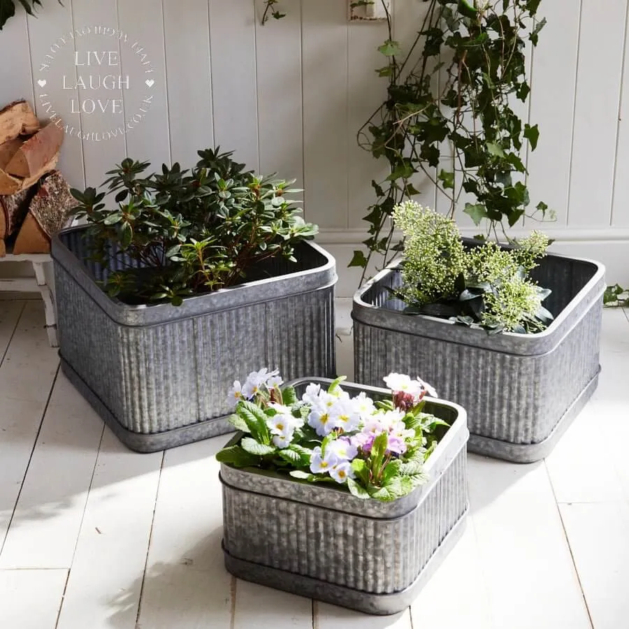 Set of 3 Galvanised Plant Tubs