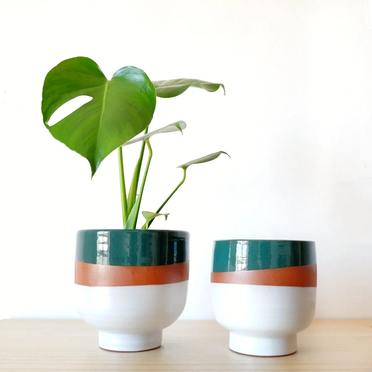 Shing Plinth Planter - Tricolor