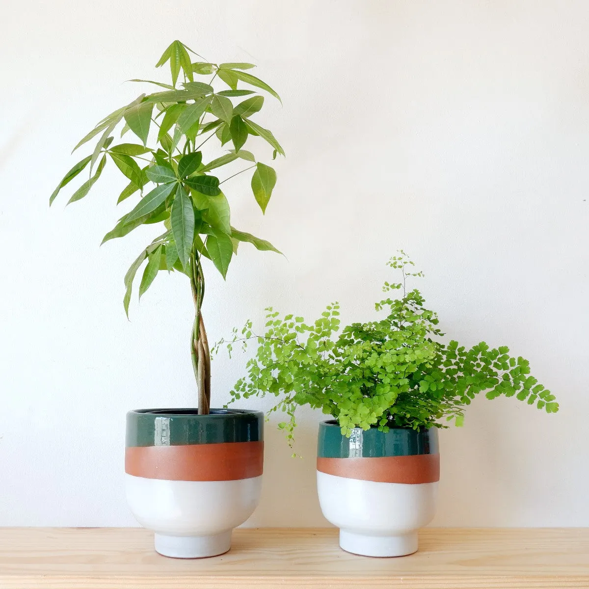 Shing Plinth Planter - Tricolor