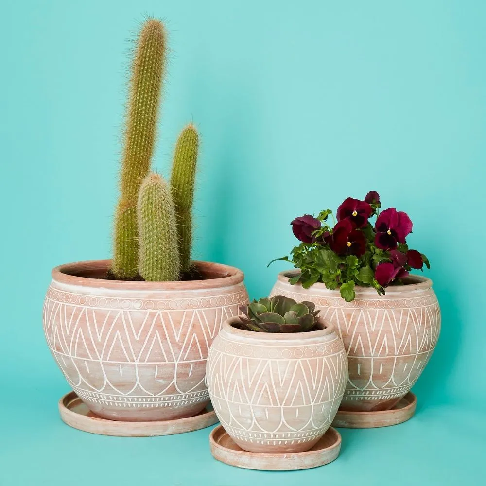 Small Terracotta Belly Pot Saucer