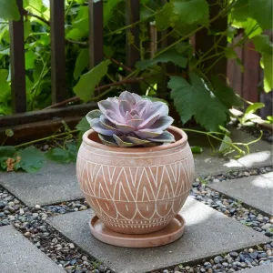 Small Terracotta Belly Pot Saucer